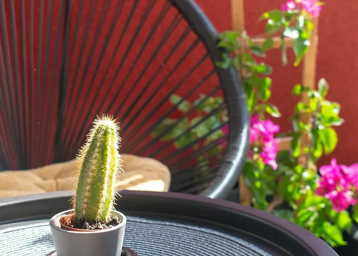 Appartement Puzzle *